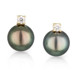 Tahitian Pearl Studs