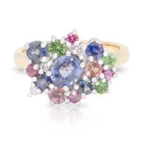 9ct Yellow and White Gold 'Bubble' style Ring with Ceylon Blue, Australian Blue, Peach and Pink Sapphires and Tsavorite Garnets.